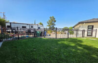 Fencing and green grass.jpg