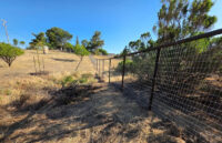Field Fence.jpg